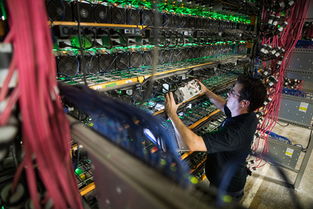 A close-up of multiple GPUs arranged in a mining rig, highlighting the power and cooling components.